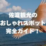 佐渡観光のおしゃれスポット完全ガイド！女子旅・カップルデートにおすすめ！