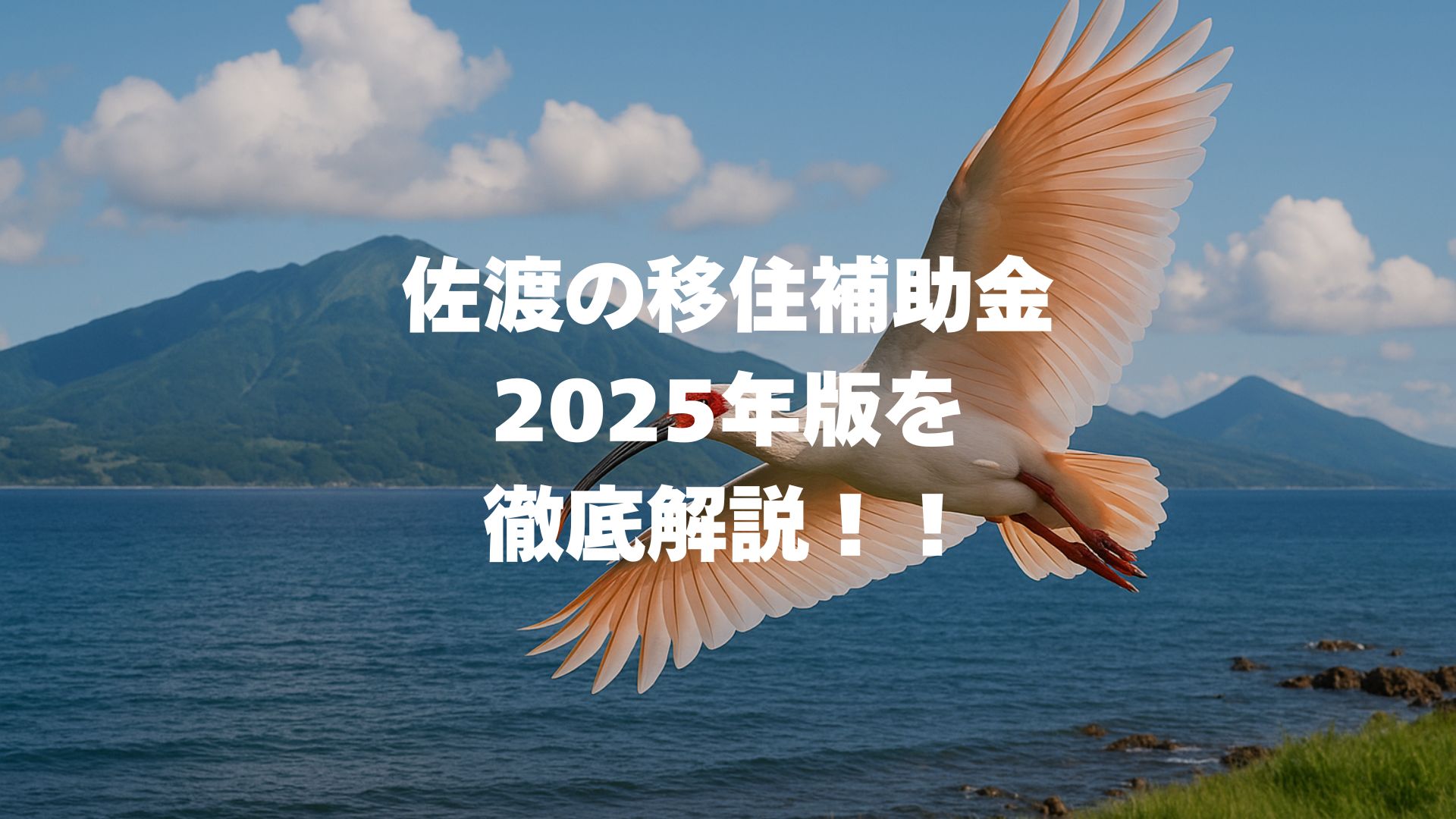 佐渡の移住補助金2025年版！最大445万円の支援金制度を徹底解説！