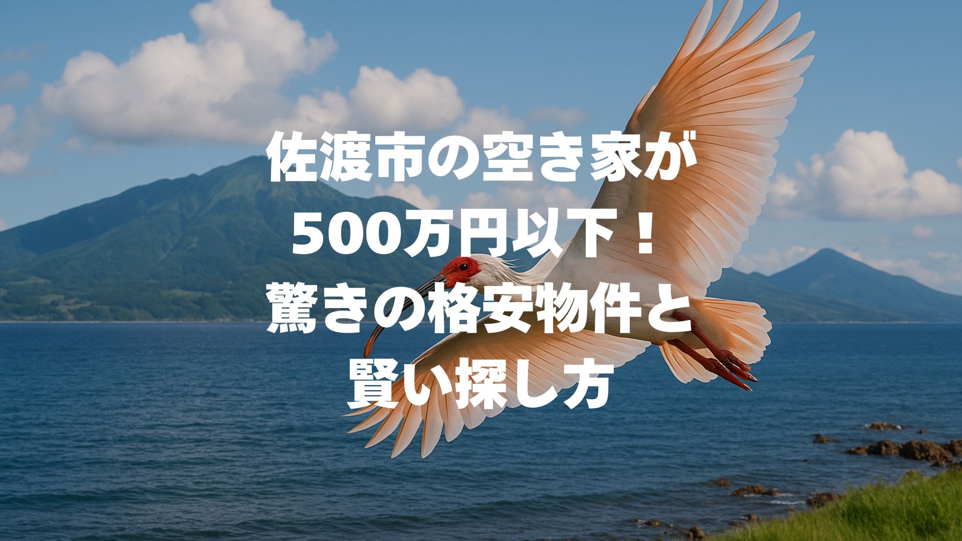 佐渡市の空き家が500万円以下！驚きの格安物件と賢い探し方完全ガイド！