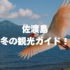 佐渡島冬の観光ガイド！天気・雪の心配は？旬グルメと絶景を完全網羅