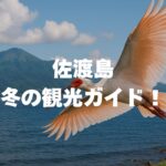 佐渡島冬の観光ガイド！天気・雪の心配は？旬グルメと絶景を完全網羅