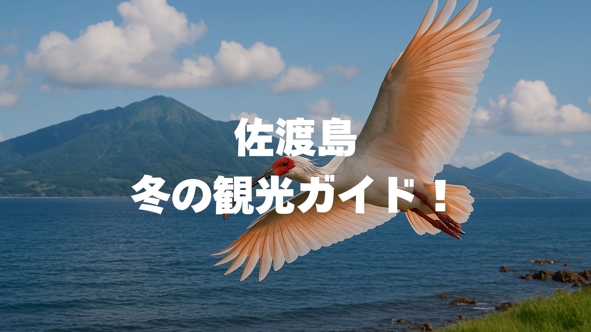佐渡島冬の観光ガイド！天気・雪の心配は？旬グルメと絶景を完全網羅