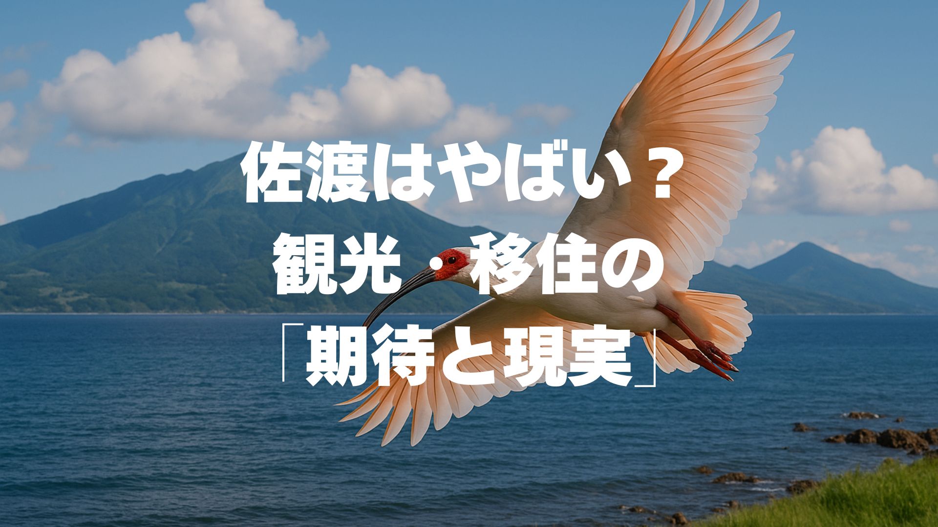 佐渡はやばい？観光・移住の「期待と現実」を徹底検証！【2026年最新】