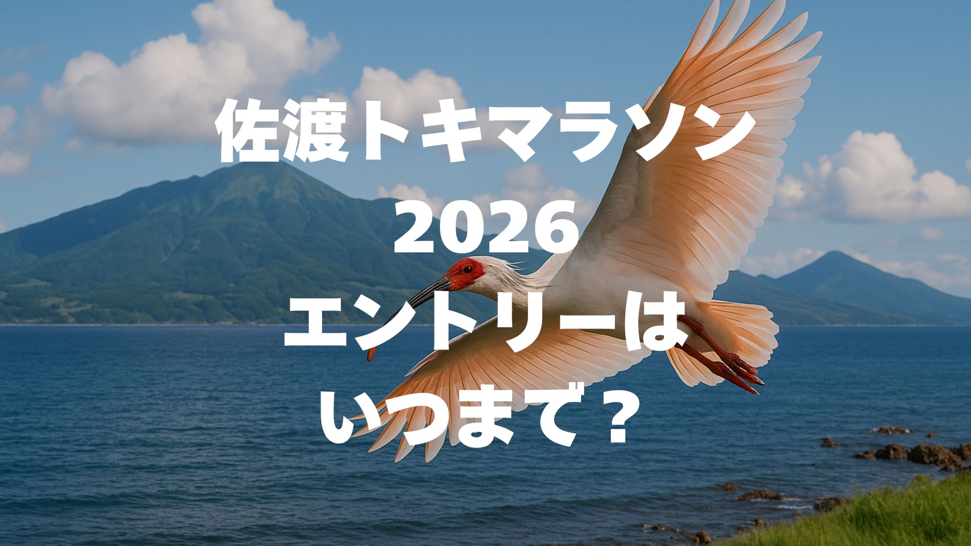 佐渡トキマラソン2026のエントリーはいつまで？申し込み方法や注意点を徹底解説！