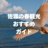 佐渡の春観光おすすめ完全ガイド！桜・祭り・山菜グルメで満喫する1泊2日モデルコース