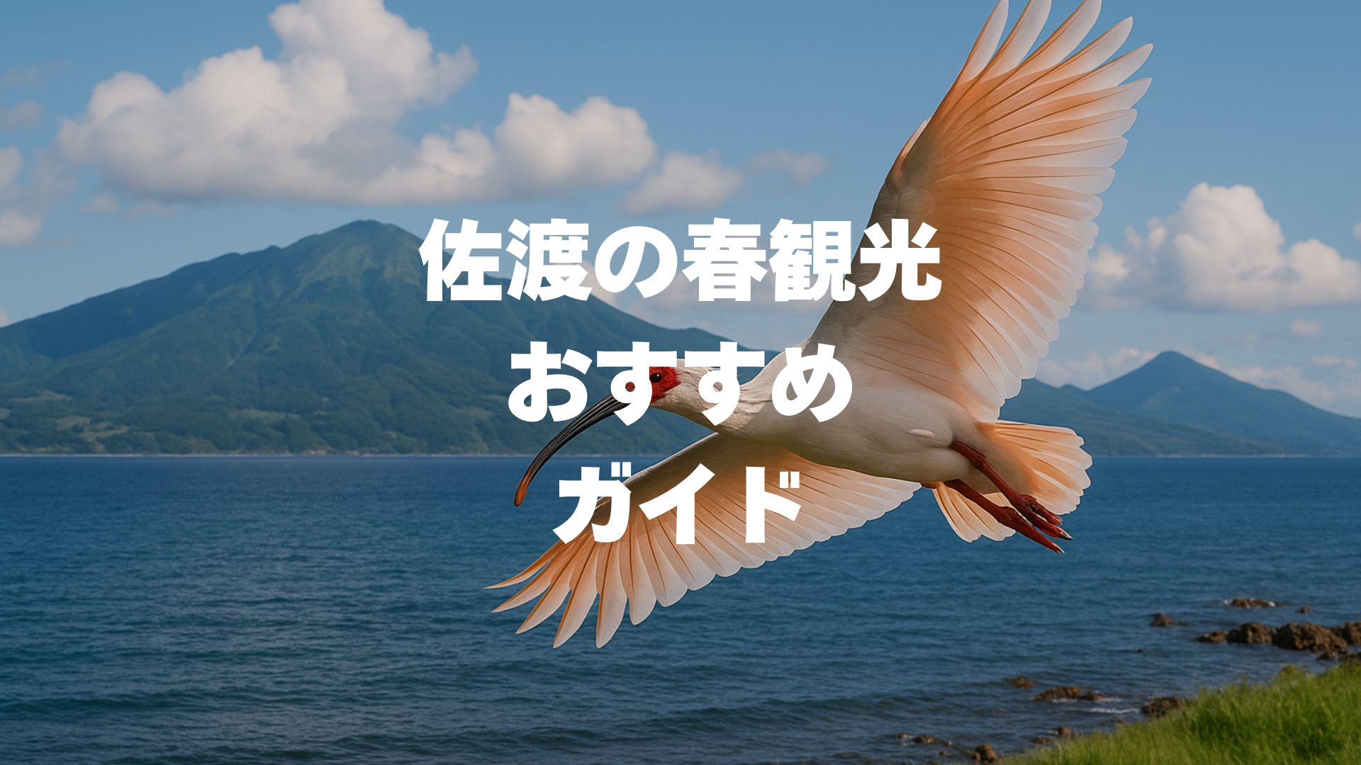 佐渡の春観光おすすめ完全ガイド！桜・祭り・山菜グルメで満喫する1泊2日モデルコース