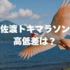 佐渡トキマラソンの高低差は？コース徹底解説＆完走攻略ガイド【2026最新】