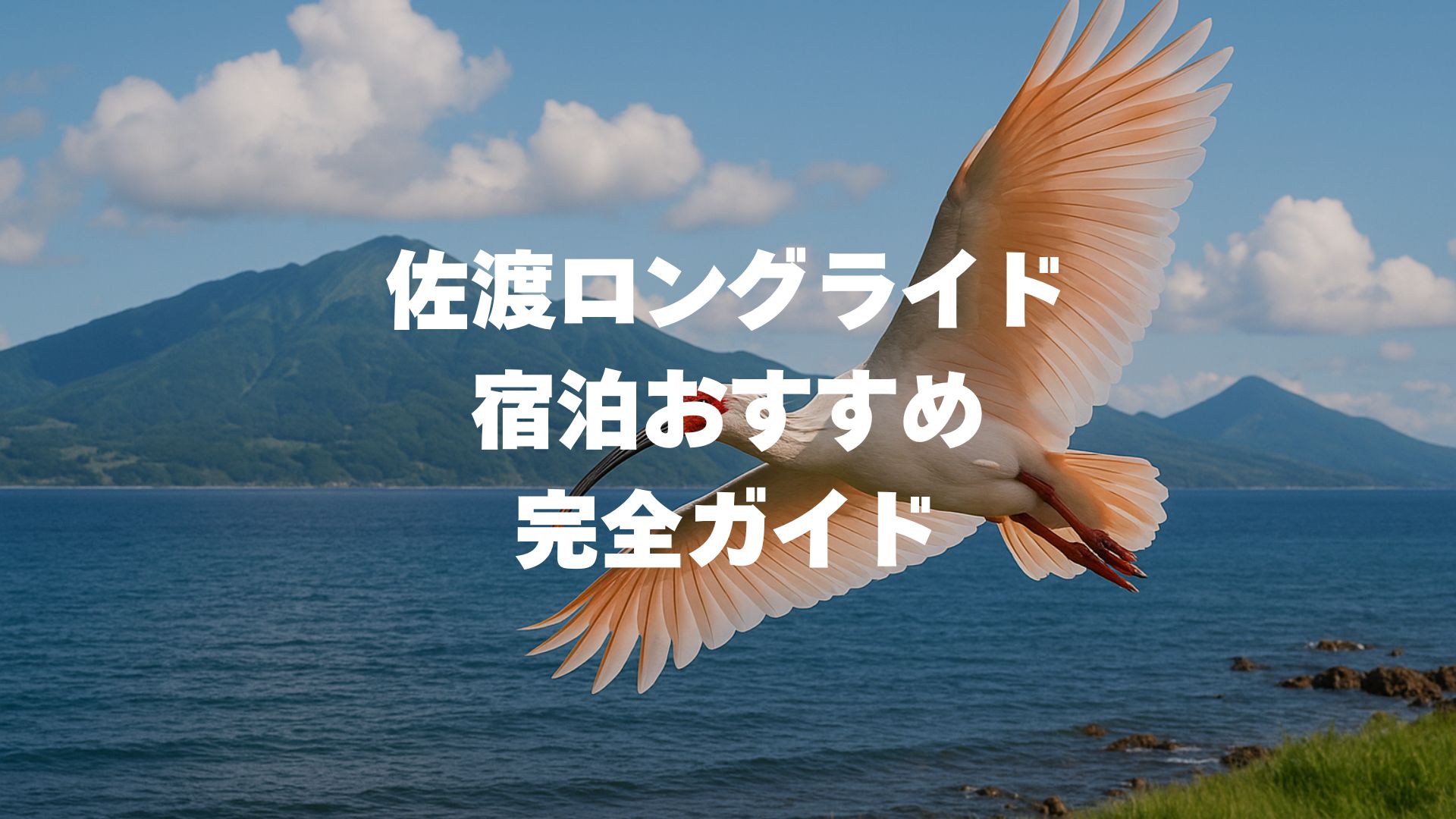 佐渡ロングライドの宿泊おすすめ完全ガイド！前泊・後泊に便利な宿を徹底解説