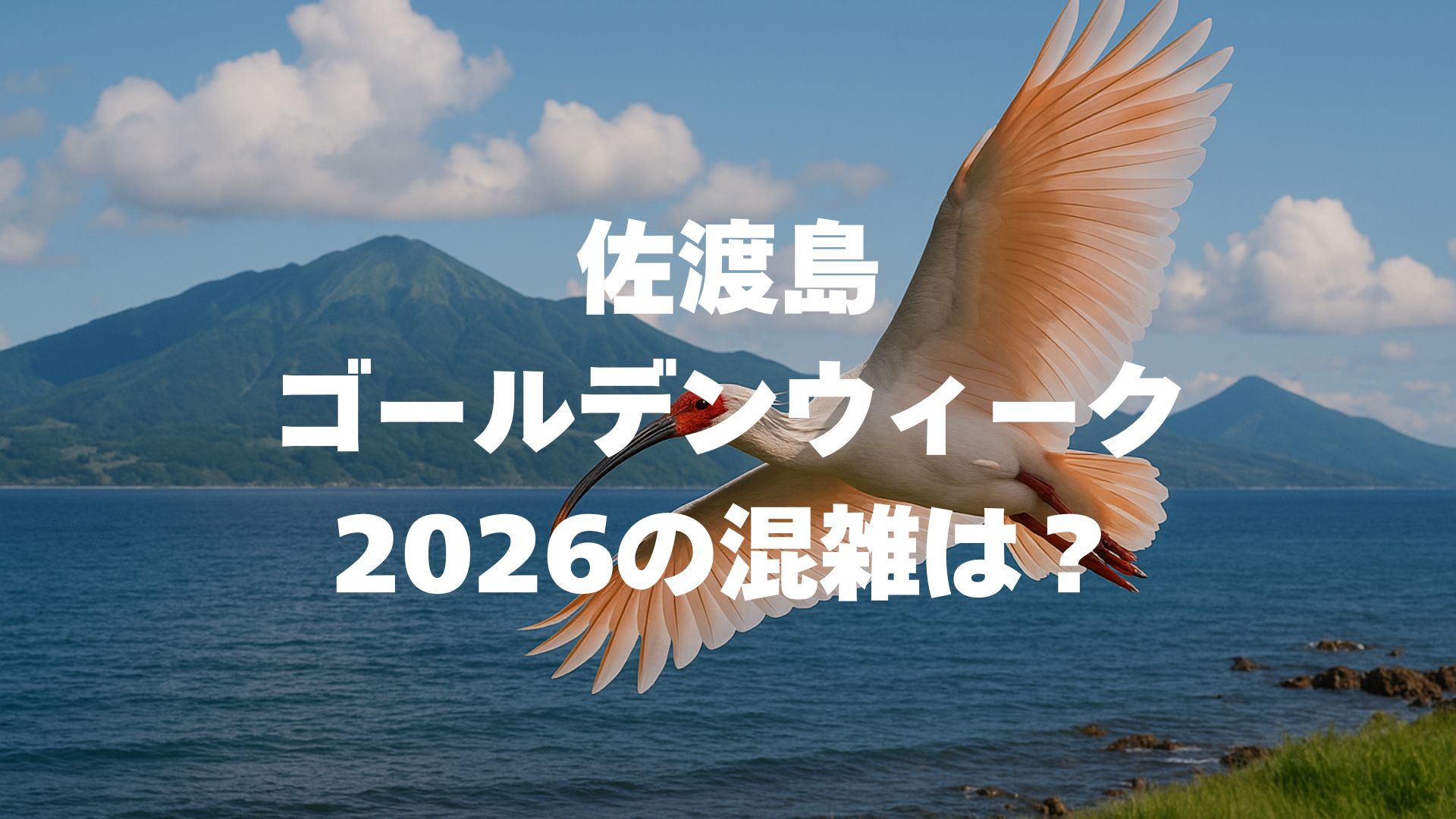 佐渡島ゴールデンウィーク2026の混雑は？フェリー予約・回避術・モデルコース完全ガイド！