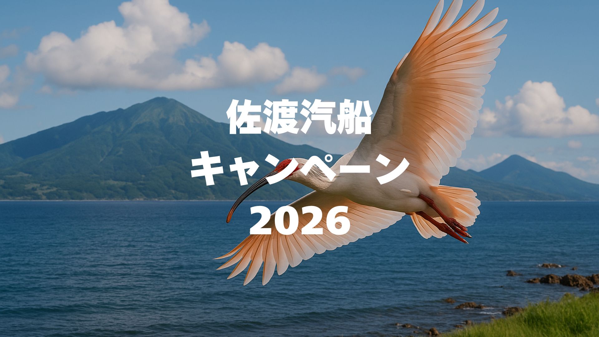 佐渡汽船キャンペーン2026完全ガイド！彩りの佐渡時間・ゴールデンプランを徹底解説