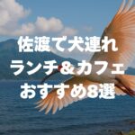 佐渡で犬連れランチ＆カフェおすすめ8選！愛犬と楽しむテラス絶景・牡蠣小屋完全ガイド