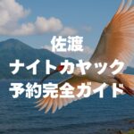 佐渡のナイトカヤック予約完全ガイド！料金・おすすめ・方法を徹底解説