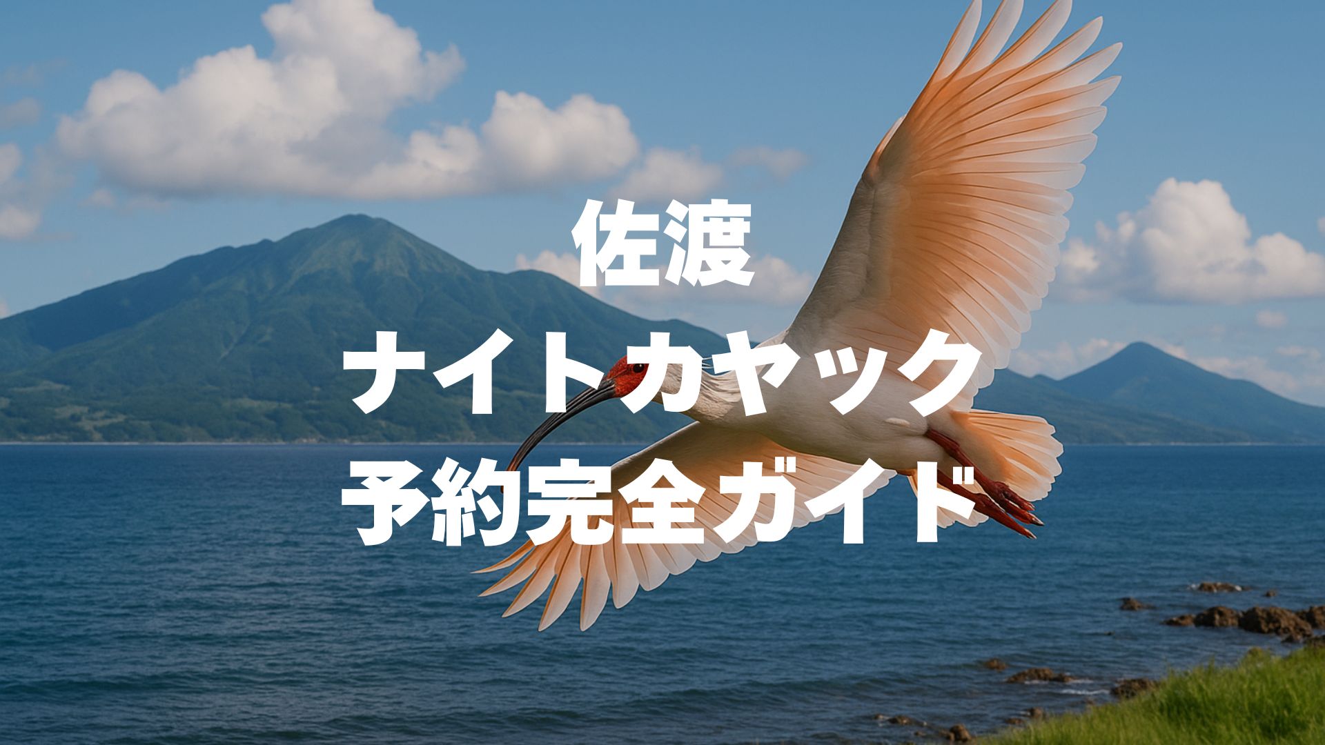 佐渡のナイトカヤック予約完全ガイド！料金・おすすめ・方法を徹底解説