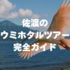 佐渡のウミホタルツアー完全ガイド！料金・時期・予約方法を徹底解説！