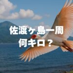 佐渡ヶ島一周は何キロ？海岸線280kmと車・自転車の所要時間ガイド