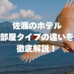 佐渡のホテルの部屋タイプの違いを徹底解説！本館と別館の選び方も紹介