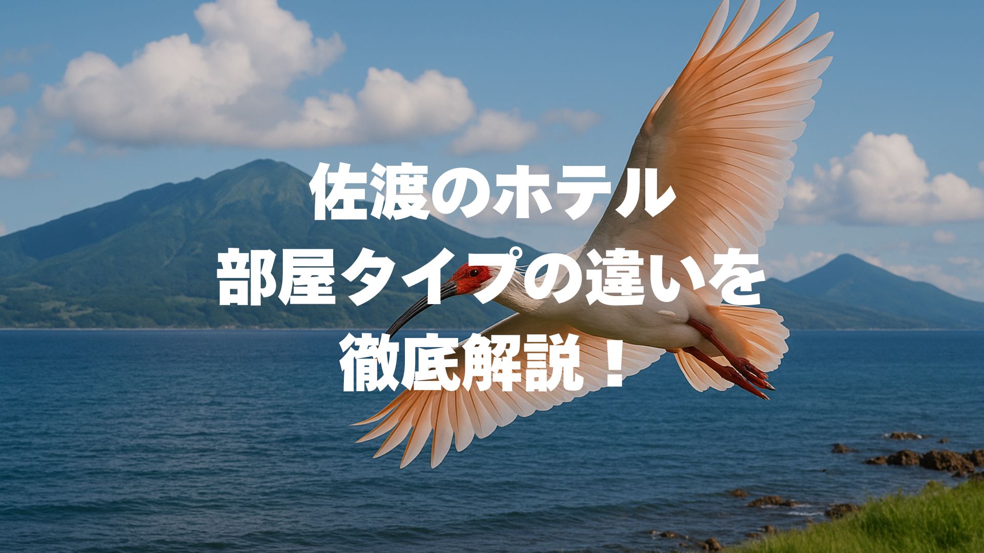 佐渡のホテルの部屋タイプの違いを徹底解説！本館と別館の選び方も紹介