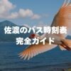 佐渡のバス時刻表完全ガイド｜本線の本数・運賃と100円の相川循環便