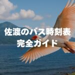 佐渡のバス時刻表完全ガイド｜本線の本数・運賃と100円の相川循環便