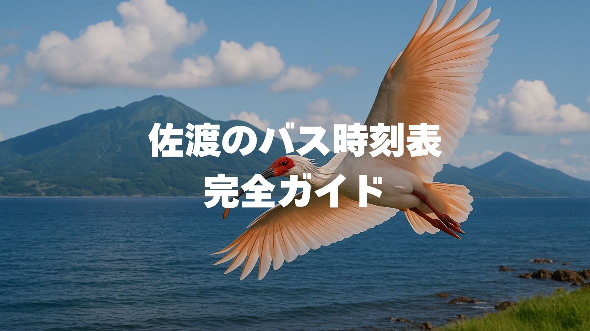 佐渡のバス時刻表完全ガイド｜本線の本数・運賃と100円の相川循環便